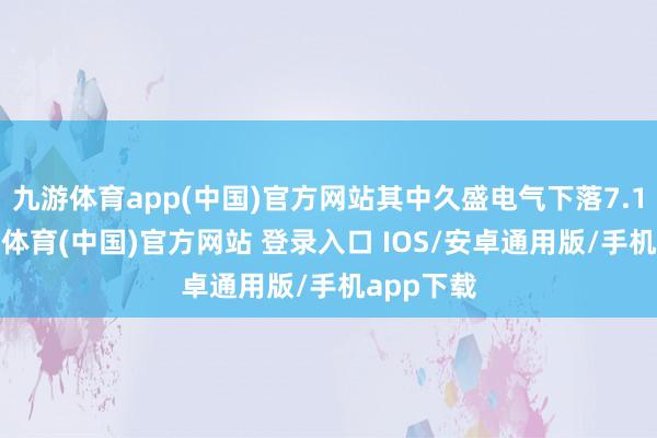 九游体育app(中国)官方网站其中久盛电气下落7.12%-九游体育(中国)官方网站 登录入口 IOS/安卓通用版/手机app下载