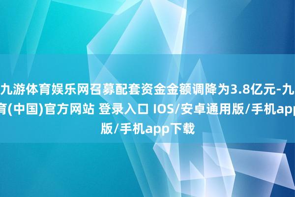 九游体育娱乐网召募配套资金金额调降为3.8亿元-九游体育(中国)官方网站 登录入口 IOS/安卓通用版/手机app下载
