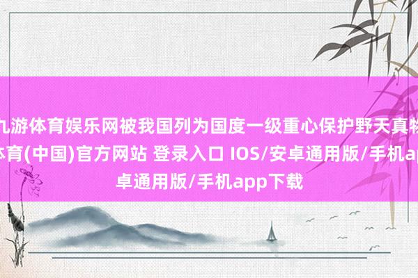 九游体育娱乐网被我国列为国度一级重心保护野天真物-九游体育(中国)官方网站 登录入口 IOS/安卓通用版/手机app下载