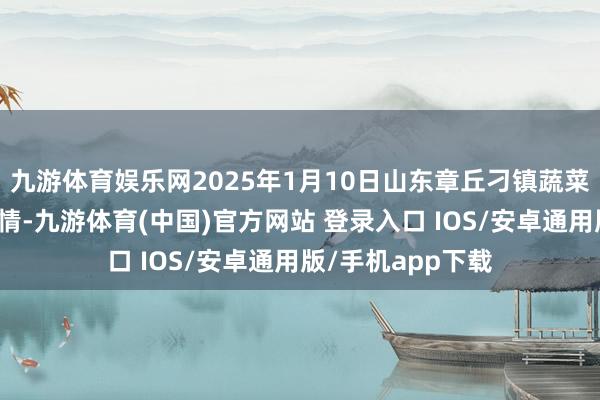 九游体育娱乐网2025年1月10日山东章丘刁镇蔬菜批发市集价钱行情-九游体育(中国)官方网站 登录入口 IOS/安卓通用版/手机app下载