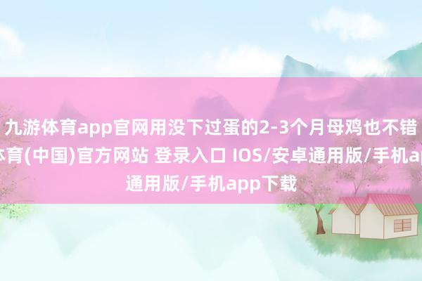 九游体育app官网用没下过蛋的2-3个月母鸡也不错-九游体育(中国)官方网站 登录入口 IOS/安卓通用版/手机app下载