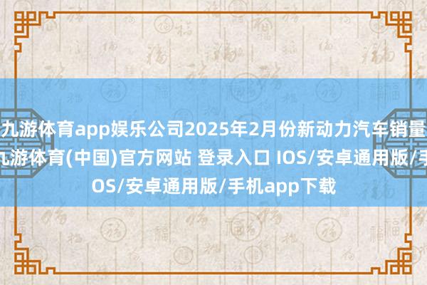 九游体育app娱乐公司2025年2月份新动力汽车销量为1047辆-九游体育(中国)官方网站 登录入口 IOS/安卓通用版/手机app下载