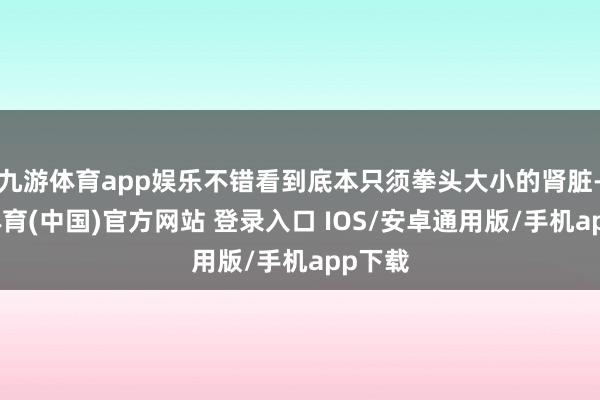 九游体育app娱乐不错看到底本只须拳头大小的肾脏-九游体育(中国)官方网站 登录入口 IOS/安卓通用版/手机app下载
