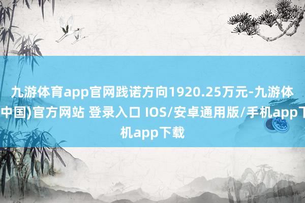 九游体育app官网践诺方向1920.25万元-九游体育(中国)官方网站 登录入口 IOS/安卓通用版/手机app下载