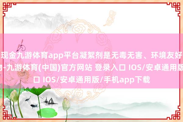现金九游体育app平台凝絮剂是无毒无害、环境友好型高分子有机物-九游体育(中国)官方网站 登录入口 IOS/安卓通用版/手机app下载