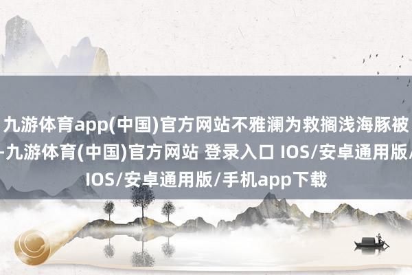 九游体育app(中国)官方网站不雅澜为救搁浅海豚被巨浪卷入深海-九游体育(中国)官方网站 登录入口 IOS/安卓通用版/手机app下载