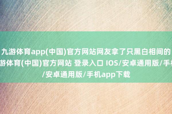 九游体育app(中国)官方网站网友拿了只黑白相间的小崽子-九游体育(中国)官方网站 登录入口 IOS/安卓通用版/手机app下载