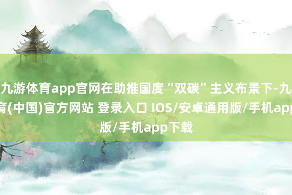 九游体育app官网在助推国度“双碳”主义布景下-九游体育(中国)官方网站 登录入口 IOS/安卓通用版/手机app下载