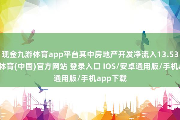 现金九游体育app平台其中房地产开发净流入13.53亿-九游体育(中国)官方网站 登录入口 IOS/安卓通用版/手机app下载